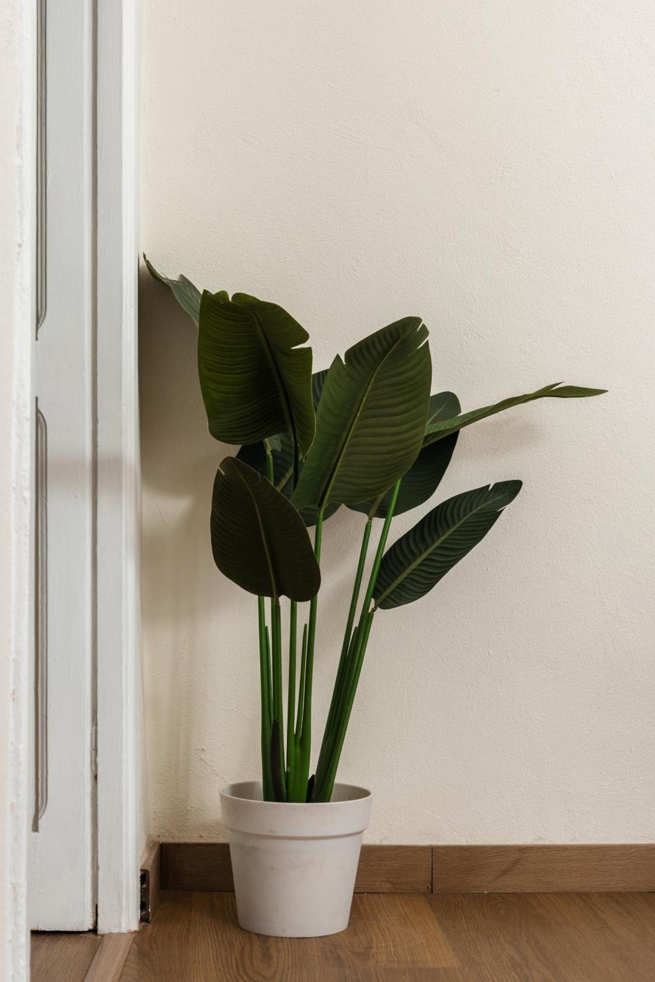 Appartement Cozy Historical Flat Napoli Extérieur photo